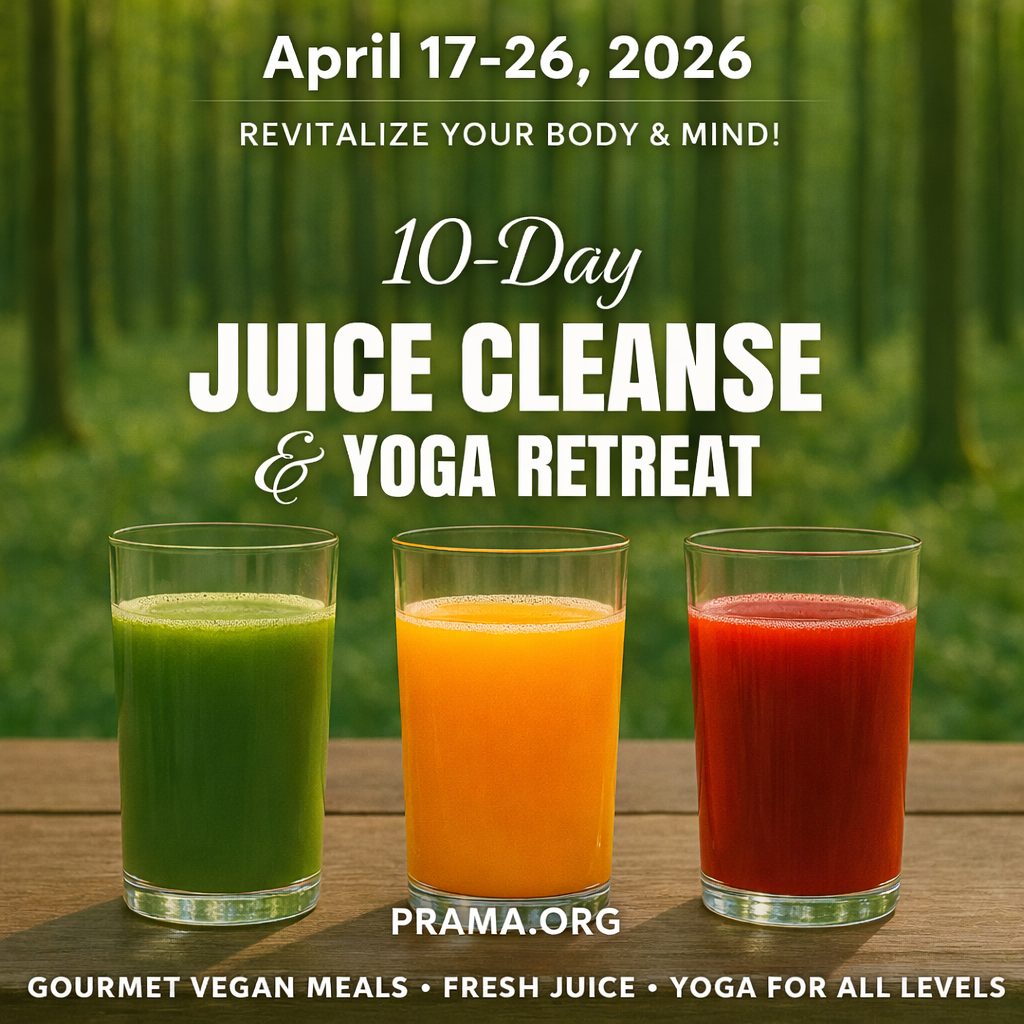 Prama Welness Center