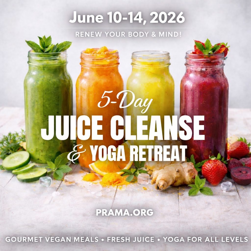 Prama Welness Center