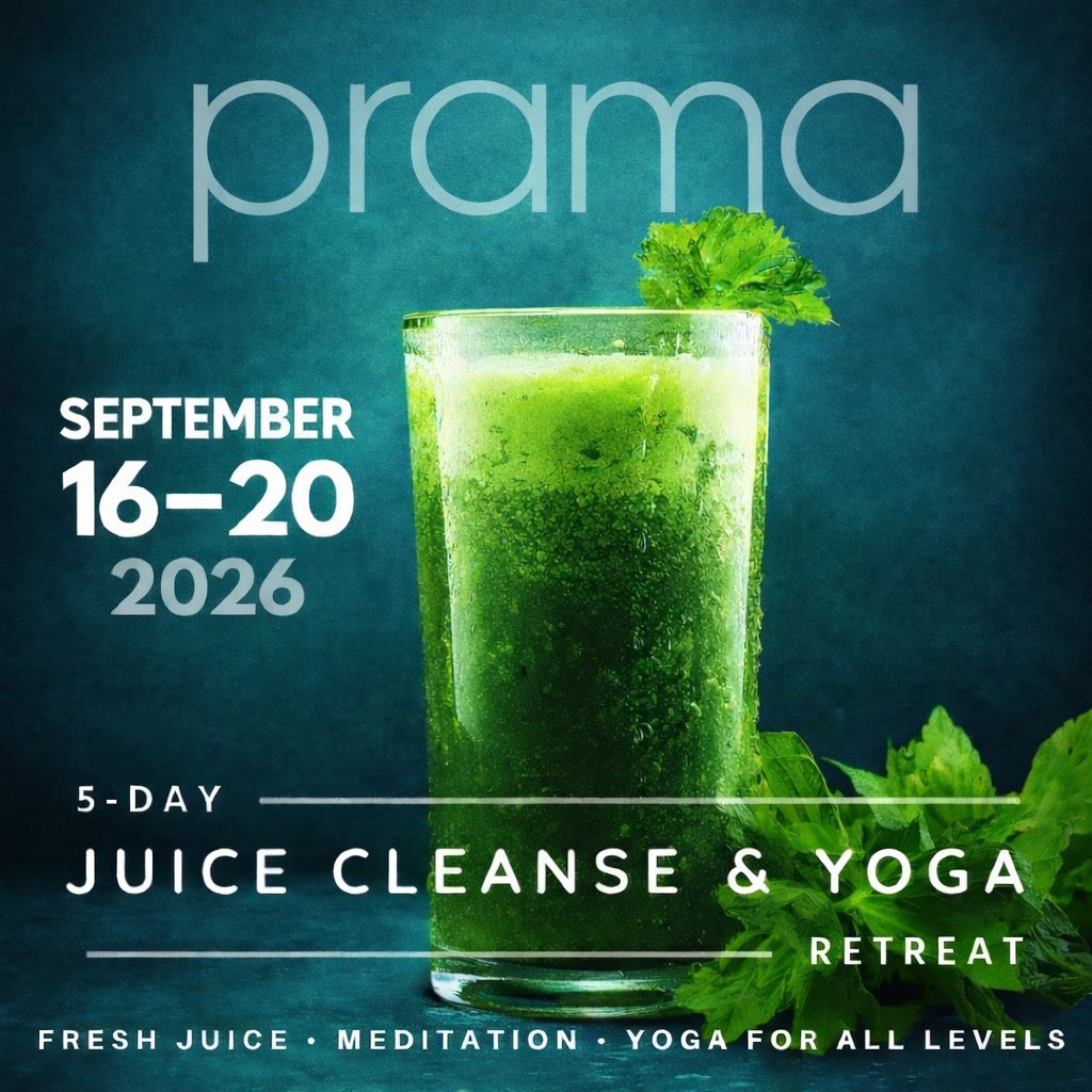 Prama Welness Center