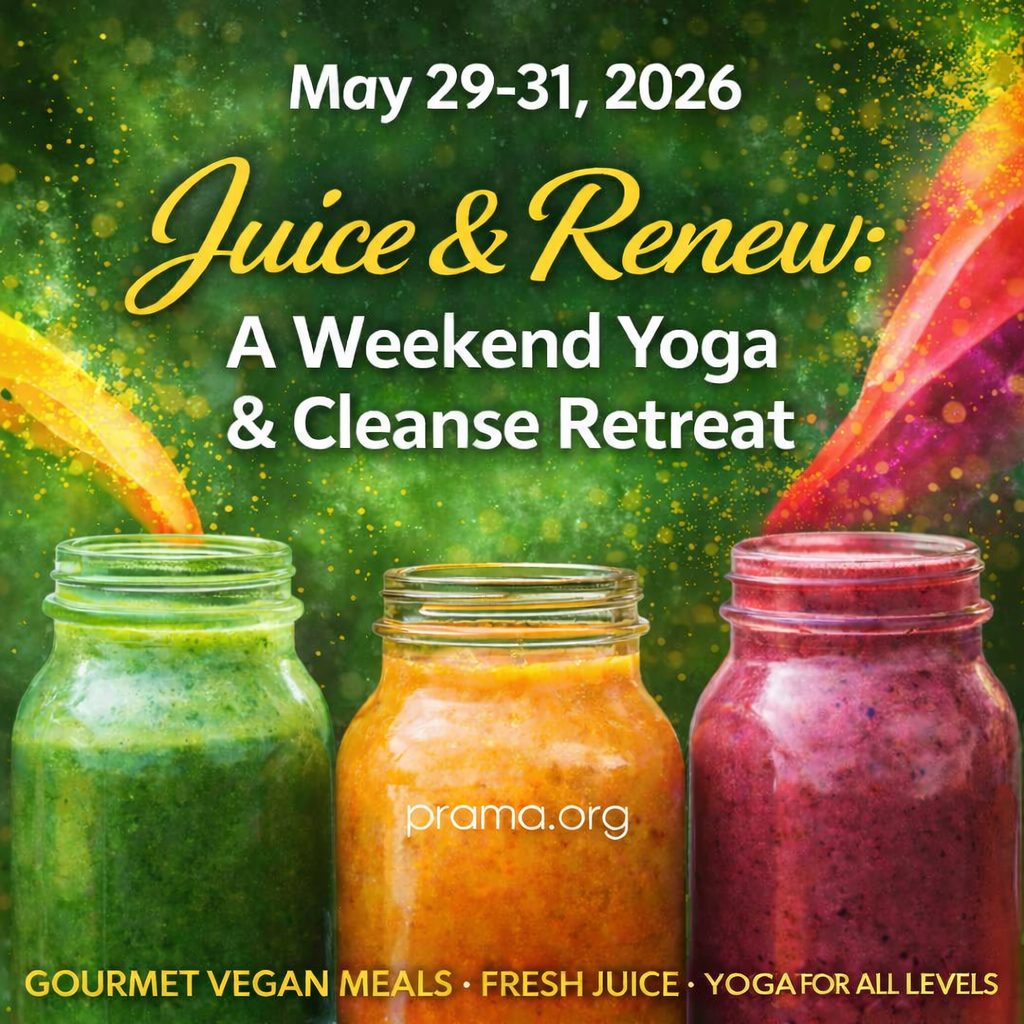 Prama Welness Center