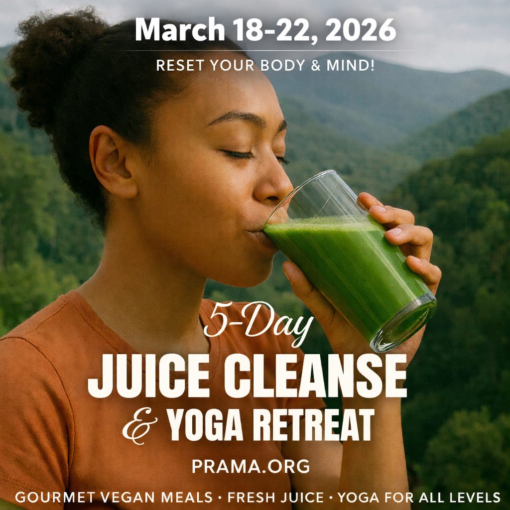 Prama Welness Center